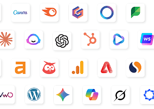 250+ Technology Partners